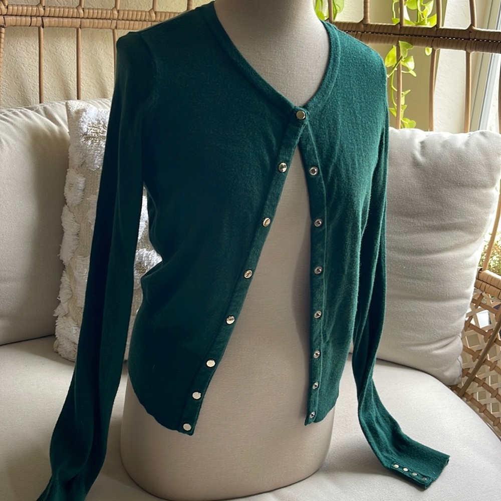 WHBM Soft, Lightweight Green Sweater